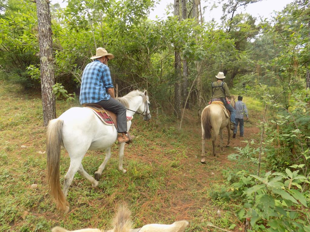 Rancho Hostal La Escondida Eco Park Теописка Экстерьер фото
