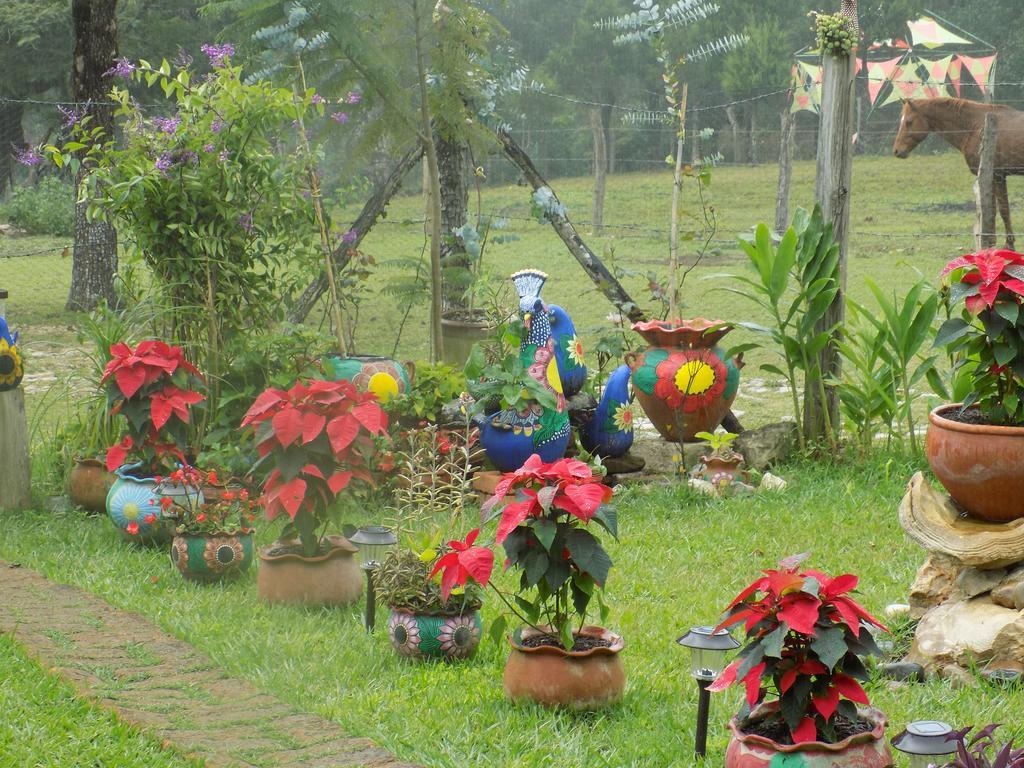 Rancho Hostal La Escondida Eco Park Теописка Экстерьер фото