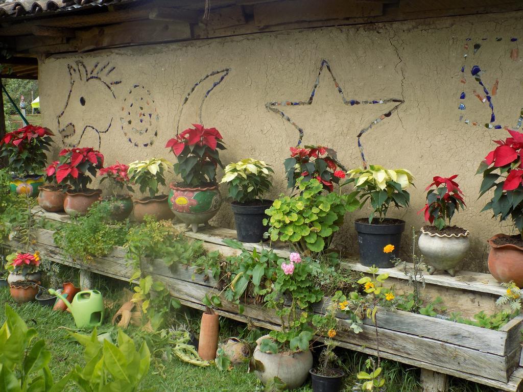 Rancho Hostal La Escondida Eco Park Теописка Экстерьер фото