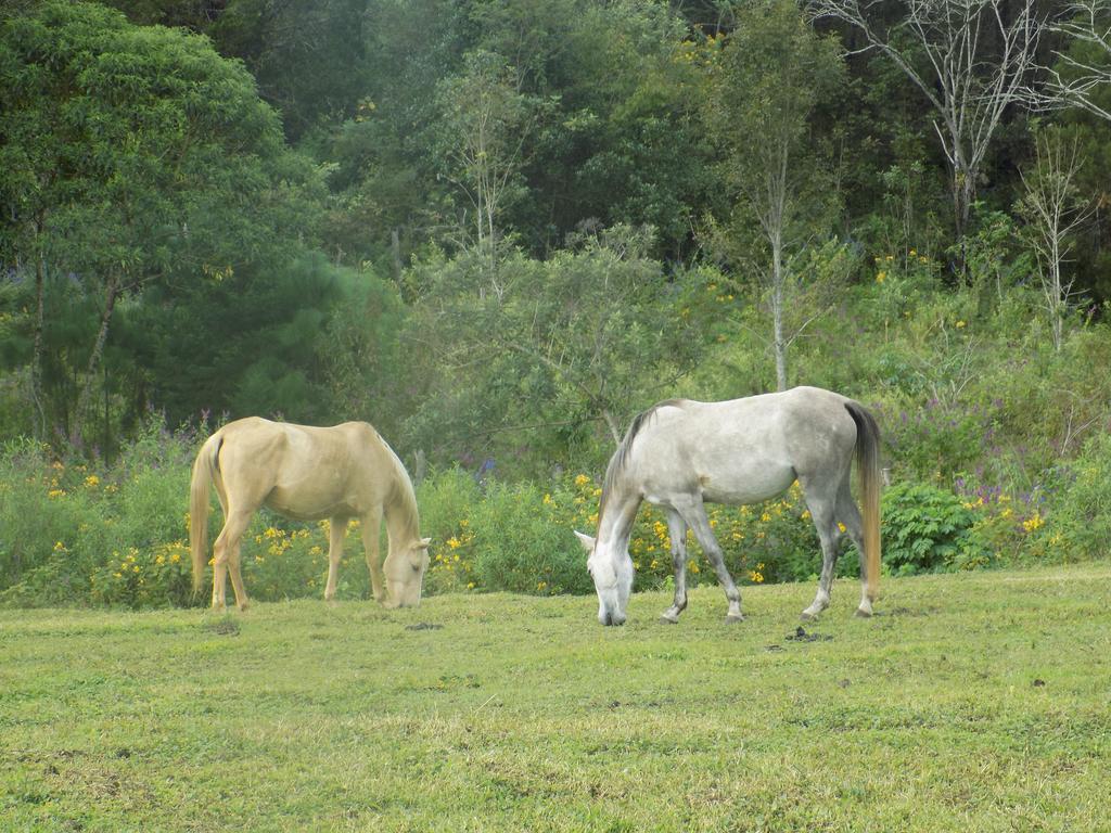 Rancho Hostal La Escondida Eco Park Теописка Экстерьер фото